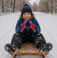 Load image into Gallery viewer, Authentic Icelandic Wool Mittens | Handmade in Iceland for Adults &amp; Kids